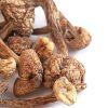 Brazilian Magic Mushrooms (Psilocybe Cubensis Brazilian) are a potent strain of psychedelic mushrooms originating from the tropical regions of Brazil.